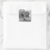 Crouching Kitten Quadratischer Aufkleber (Tasche)
