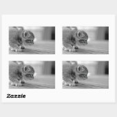 Crouching Kitten Rechteckiger Aufkleber (Blatt)