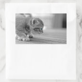 Crouching Kitten Rechteckiger Aufkleber (Tasche)