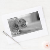Crouching Kitten Rechteckiger Aufkleber (Umschlag)