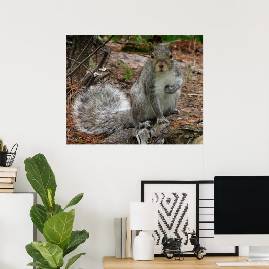 Crouching Squirrel Poster (Heimbüro)