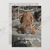 Crouching Tiger Individuell einladen Einladung (Vorne/Hinten)