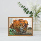 Crouuching Tiger Postcard Postkarte (Stehend Vorderseite)