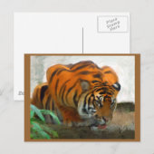 Crouuching Tiger Postcard Postkarte (Vorne/Hinten)