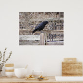 Crow 1 poster (Küche)