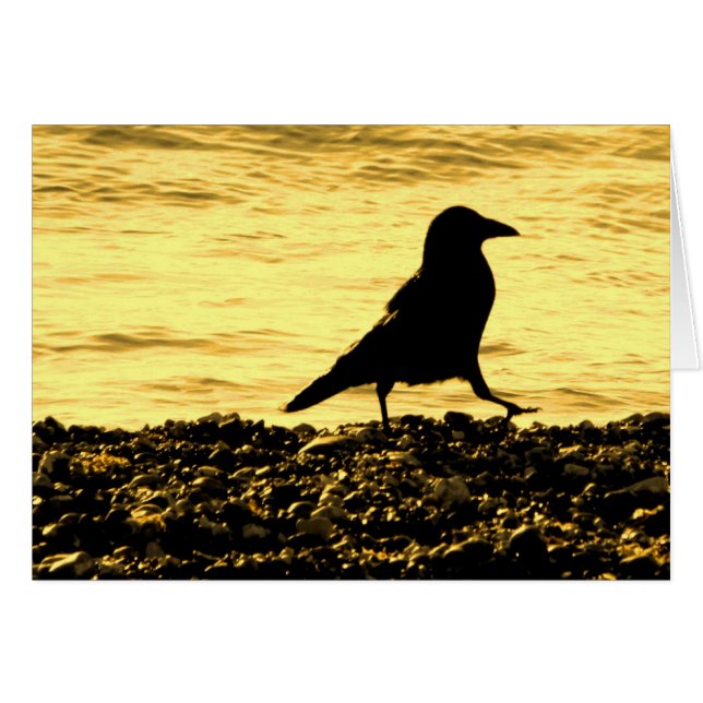 Crow am Strand (Vorderseite (Horizontal))