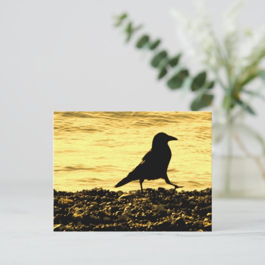 Crow am Strand Postkarte (Stehend Vorderseite)