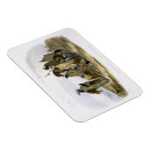 Crow Amerikanische Ureinwohner, Platte 13 aus Band Magnet (Rechte Seite)