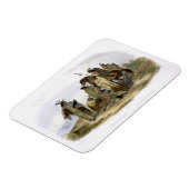 Crow Amerikanische Ureinwohner, Platte 13 aus Band Magnet (Linke Seite)