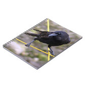 Crow an der Kreuzung Notizblock (Linke Seite)