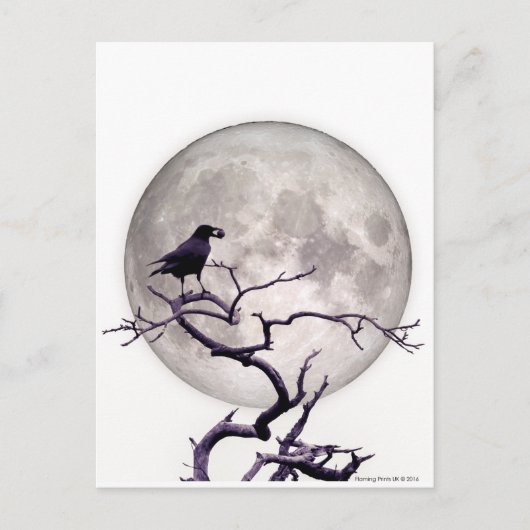 Crow and Moon Raven Fantasy Gothic Night Postkarte (Vorderseite)