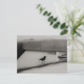 Crow and Water Puddle with Rooftop Reflections 3 Postkarte (Stehend Vorderseite)