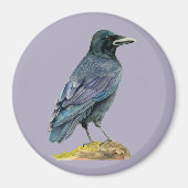Crow-Aquarellmalerei Magnet (Vorne)