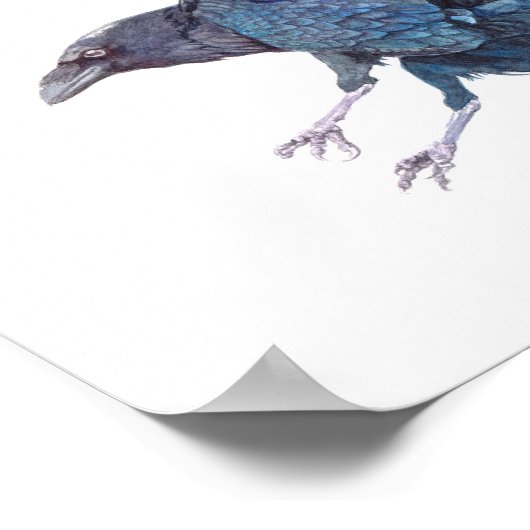 Crow-Aquarellmalerei Poster (Ecke)