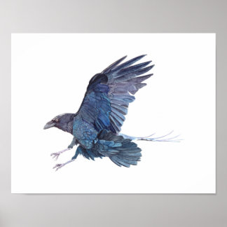 Crow-Aquarellmalerei Poster