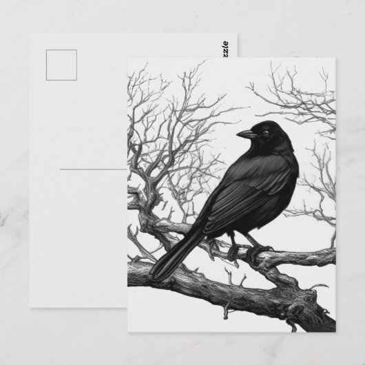 Crow auf den Bare Winter Branches Postkarte (Vorne/Hinten)