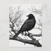 Crow auf den Bare Winter Branches Postkarte (Vorderseite)