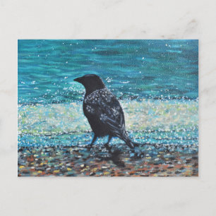 Crow auf der Strandmalerei Postkarte
