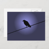 Crow auf einem Telefonkabel Postkarte (Vorne/Hinten)