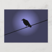 Crow auf einem Telefonkabel Postkarte (Vorderseite)