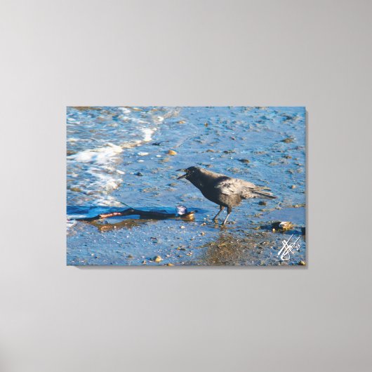 Crow auf Mutiny Bay Leinwanddruck (Vorderseite)
