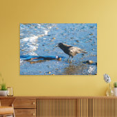 Crow auf Mutiny Bay Leinwanddruck (Insitu (Wohnzimmer))