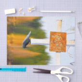 Crow Autumn Orange Decoupage Seidenpapier (Handwerk)