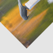 Crow Autumn Orange Decoupage Seidenpapier (Ausschnitt)