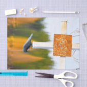 Crow Autumn Orange Decoupage Seidenpapier (Handwerk)