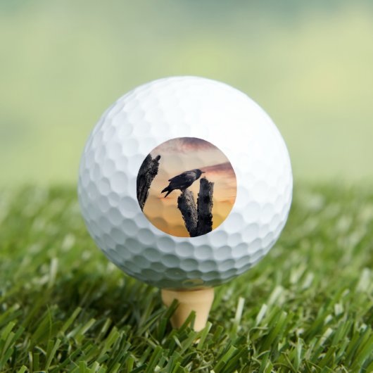 Crow bei Sonnenaufgang Golfball (Insitu T-Shirt)