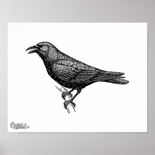 Crow Bird Art Poster (Vorne)