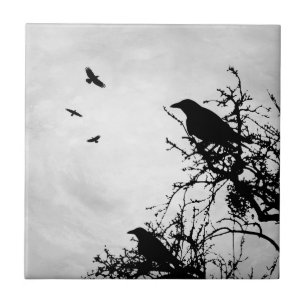 Crow-Bird-Design 43 Fliese