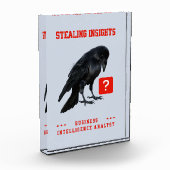 Crow Business Intelligence-Analyst Fotoblock (Links)
