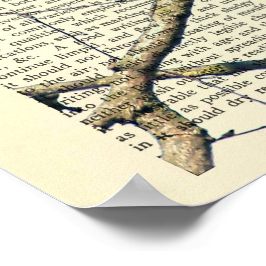 Crow, Crow Art, Raven, Edgar Allan Poe Poster (Ecke)