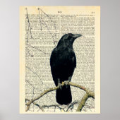Crow, Crow Art, Raven, Edgar Allan Poe Poster (Vorne)