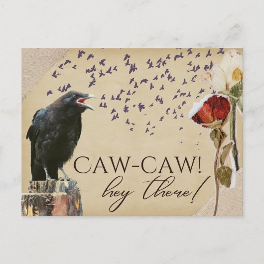 Crow-Crow-Postkarten im Vintagen Stil Postkarte (Vorderseite)
