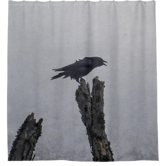 Crow Duschvorhang (Vorderseite)