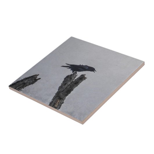 Crow Fliese (Seite)