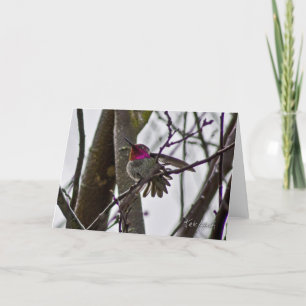 Crow Hummer Card Karte