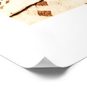 Crow Indian 1880 Poster (Ecke)