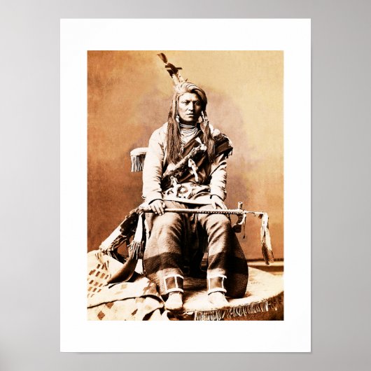Crow Indian 1880 Poster (Vorne)