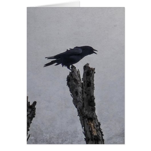 Crow-Karte (Vorne)