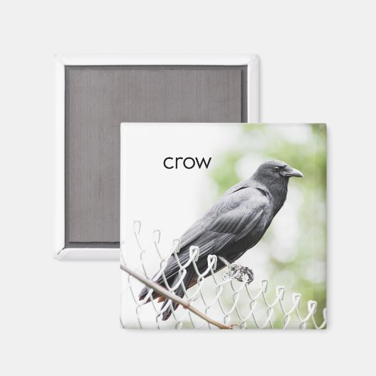 Crow Kühlschrank Magnet (Vorderseite/Rückseite)