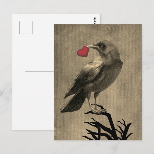 Crow-Liebe-leere Postkarte (Vorne/Hinten)