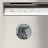 Crow Magnet (In Situ (Geschirrspüler))