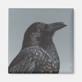 Crow Magnet