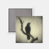 Crow Magnet (Vorderseite/Rückseite)