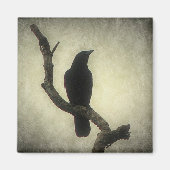 Crow Magnet (Vorne)