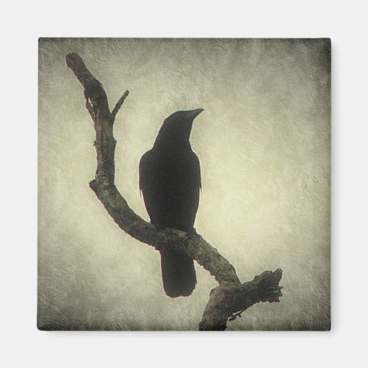 Crow Magnet (Vorne)