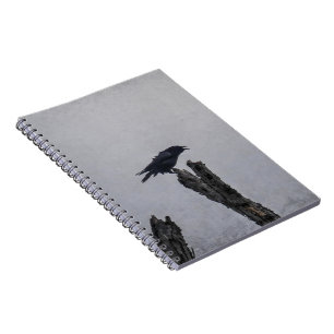 Crow Notizblock